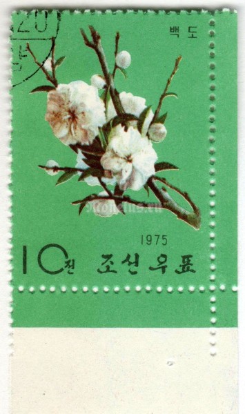 марка Северная Корея 10 чон "White peach" 1975 год Гашение