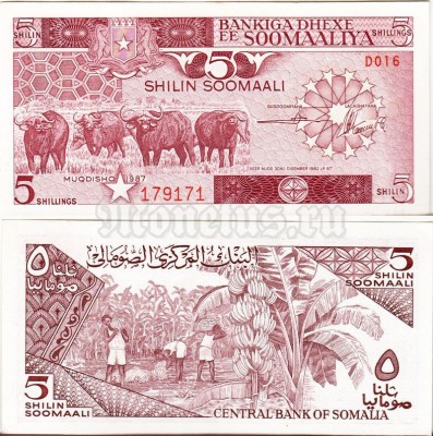 бона Сомали 5 шиллингов 1983 - 1987 год