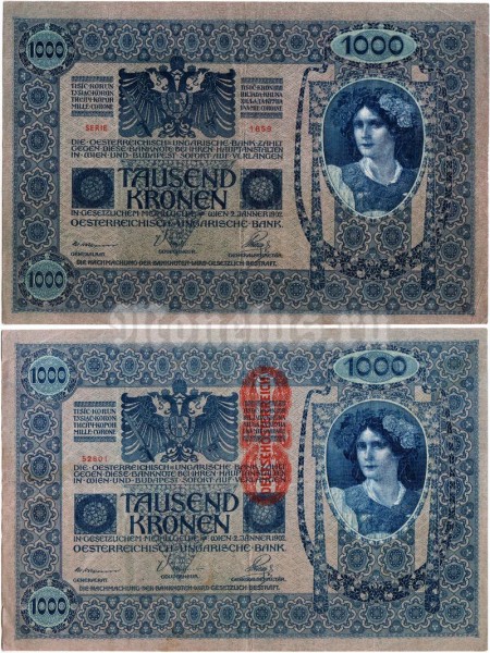 бона Австрия 1000 крон 1902 (1919) год