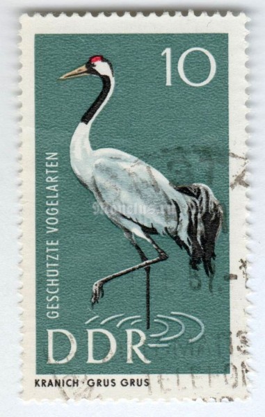 марка ГДР 10 пфенниг "Gray Crane (Grus grus)" 1967 год Гашение