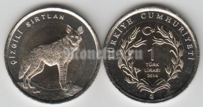 монета Турция 1 лира 2014 год Полосатая Гиена биметалл