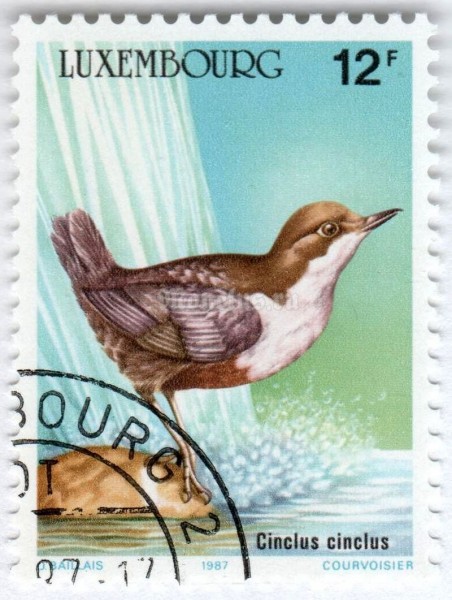марка Люксембург 12 франков "White-throated Dipper (Cinclus cinclus)" 1987 год Гашение