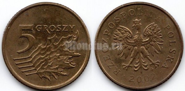 монета Польша 5 грошей 2002 год