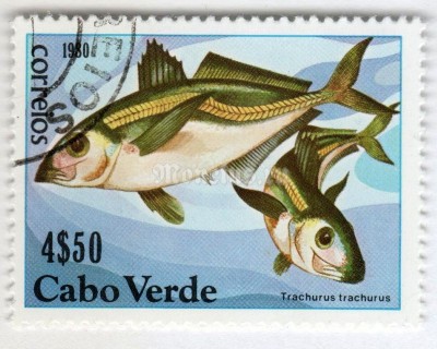 марка Кабо-Верде 4,50 эскудо "Mediterranean Horse Mackerel (Trachurus trachurus)" 1980 год Гашение