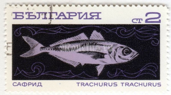 марка Болгария 2 стотинки "Mediterranean Horse Mackerel (Trachurus trachurus)" 1969 год Гашение