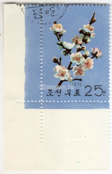 марка Северная Корея 25 чон "Apricot" 1975 год Гашение