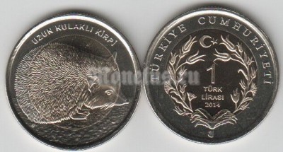 монета Турция 1 лира 2014 год Ушастый Ёж биметалл