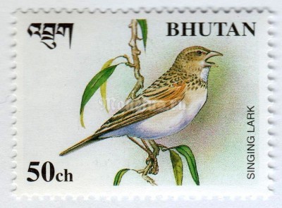 марка Бутан 50 чертум "Horsfield's Bush Lark (Mirafra javanica)" 1998 год