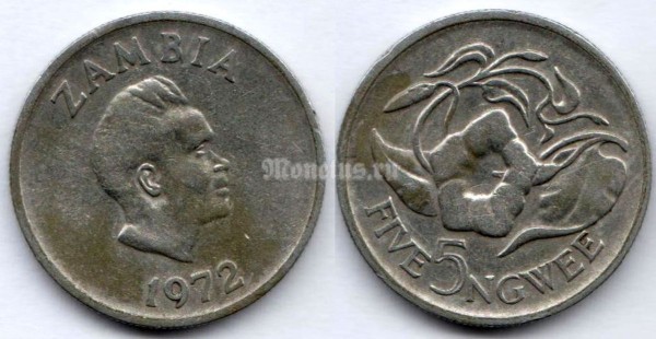 монета Замбия 5 нгве 1972 год