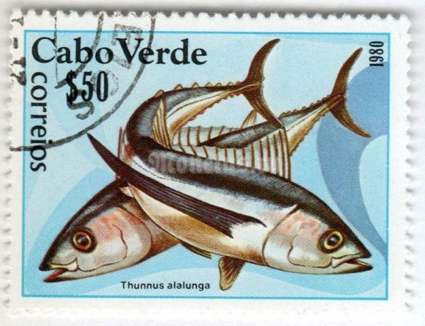 марка Кабо-Верде 0,50 эскудо "Albacore Tuna (Thunnus alalunga)" 1980 год Гашение