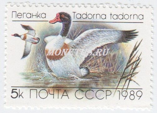 марка СССР 5 копеек "Пеганка" 1989 год