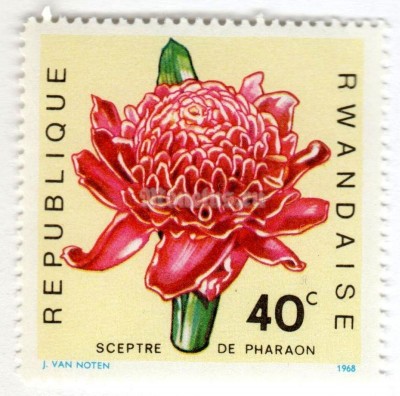 марка Руанда 40 сантим "Цветы" 1968 год