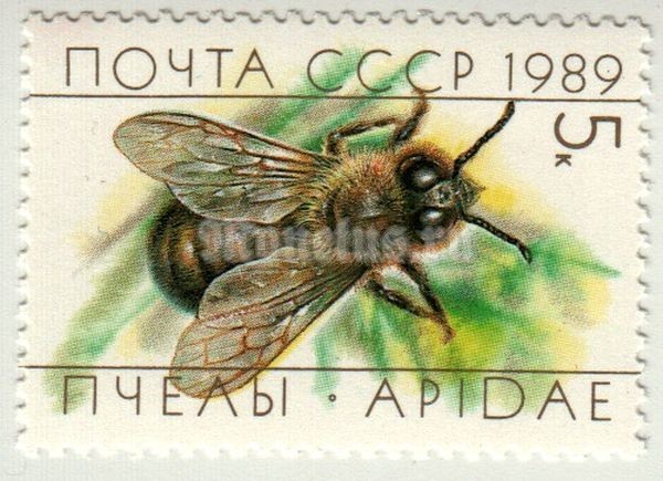 марка СССР 5 копеек "Трутень" 1989 год