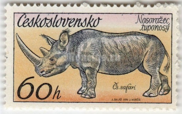 марка Чехословакия 60 геллер "Black Rhinoceros (Diceros bicornis)" 1976 год