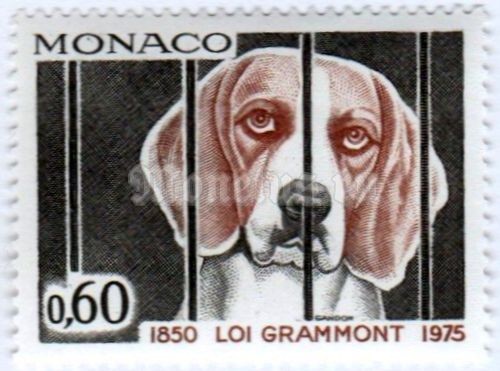 марка Монако 0,60 франка "Dog (Canis lupus familiaris)" 1975 год