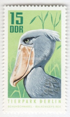 марка ГДР 15 пфенниг "Shoebill (Balaeniceps rex)" 1970 год 