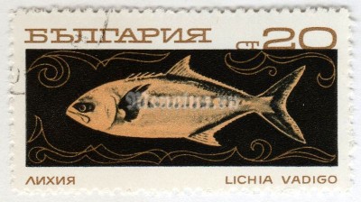 марка Болгария 20 стотинок "Vadigo (Campogramma glaycos)" 1969 год Гашение