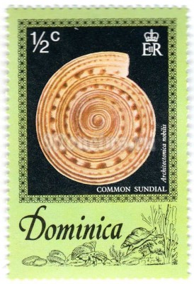 марка Доминика 1/2 цента "Common Sundial (Architectonica nobilis)" 1976 год