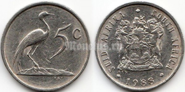 монета Южная Африка 5 центов 1988 год SOUTH-AFRIKA