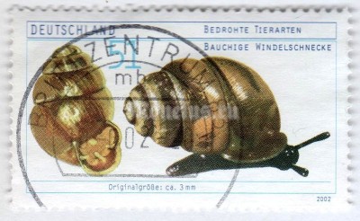 марка ФРГ 51 центов "Desmoulin's Whorl Snail (Vertigo moulinsiana)" 2002 год Гашение