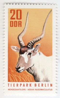 марка ГДР 20 пфенниг "Addax (Addax nasomaculatus)" 1970 год 