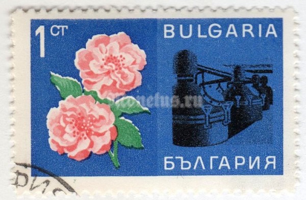 марка Болгария 1 стотинка "Rose petals, rose oil extraction plant" 1967 год Гашение