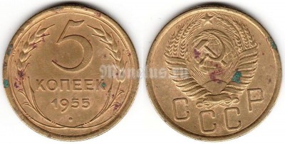 монета 5 копеек 1955 год (15581)