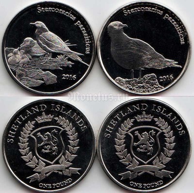 Шетландские острова (Шотландия) набор из 2-х монет 1 фунт 2016 год птицы. Короткохвостый поморник