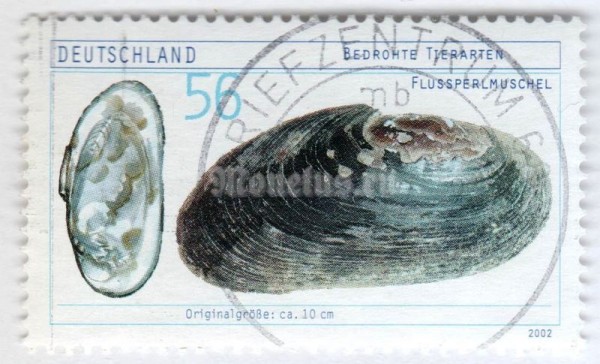марка ФРГ 56 центов "Freshwater Pearl Mussel (Margaritifera margaritifera)" 2002 год Гашение