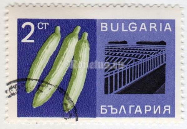 марка Болгария 2 стотинки "Cucumber" 1967 год Гашение