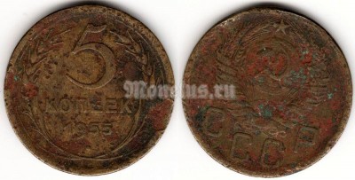 монета 5 копеек 1955 год (15582)