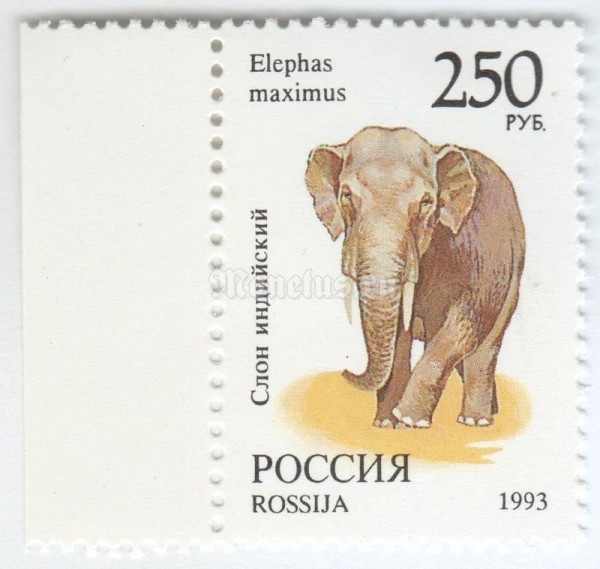 марка Россия 250 рублей "Слон Индийский" 1993 год