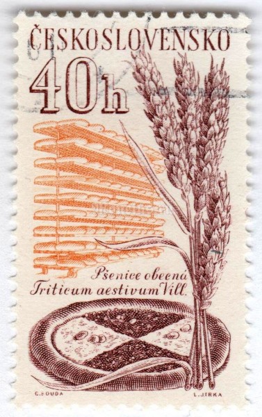 марка Чехословакия 40 геллер "Wheat and bread" 1961 год Гашение