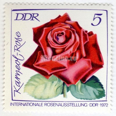 марка ГДР 5 пфенниг "Karneolrose" 1972 год