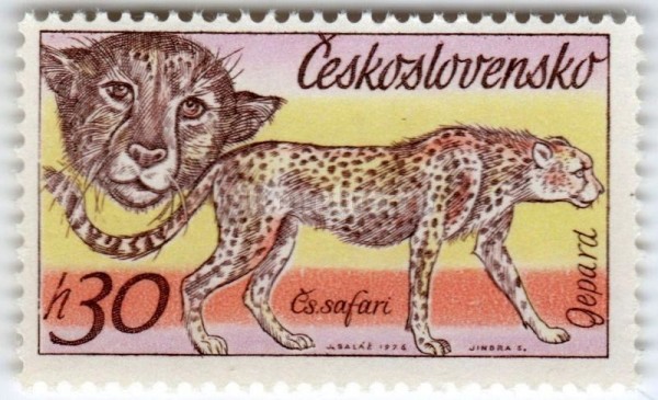 марка Чехословакия 30 геллер "Cheetah (Acinonyx jubatus)" 1976 год