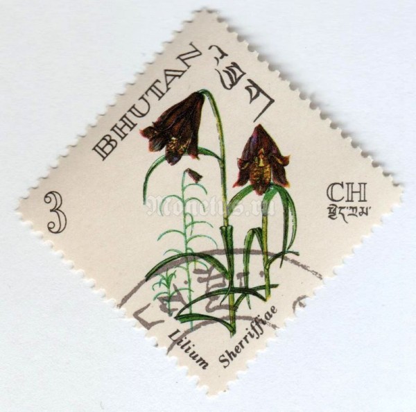 марка Бутан 3 чертум "Lilium sheriffiae" 1967 год Гашение