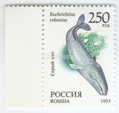 марка Россия 250 рублей "Серый кит" 1993 год