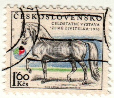 марка Чехословакия 1,60 геллер "Кладрубская порода лошадей" 1976 год