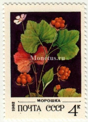 марка СССР 4 копейки "Морошка" 1982 год