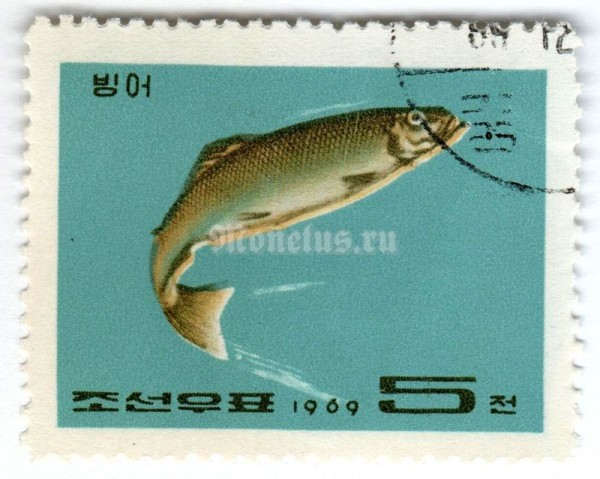 марка Северная Корея 5 чон "Yellowtail Fish" 1969 год Гашение