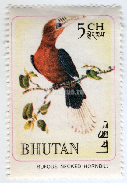 марка Бутан 5 чертум "Rufous-necked Hornbill (Aceros nepalensis)" 1968 год