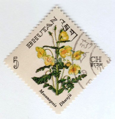 марка Бутан 5 чертум "Meconopsis dhwoju" 1967 год Гашение