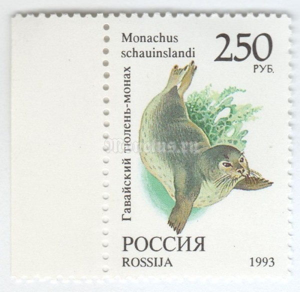 марка Россия 250 рублей "Гавайский тюлень-монах" 1993 год