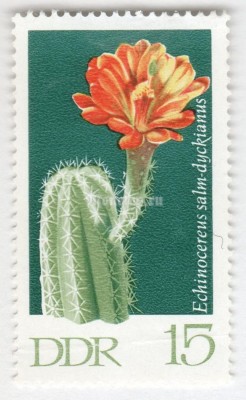 марка ГДР 15 пфенниг "Hedgehog's cactus" 1970 год 