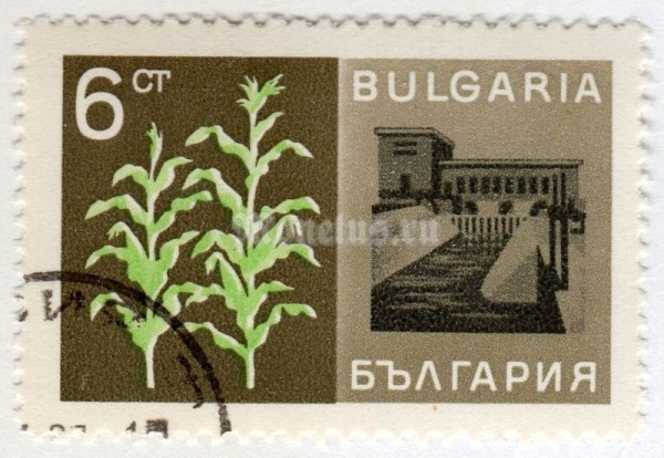 марка Болгария 5 стотинок "Corn" 1967 год Гашение