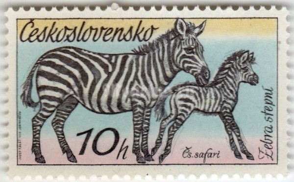 марка Чехословакия 10 геллер "Plains Zebra (Equus quagga)" 1976 год