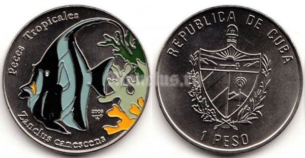 монета Куба 1 песо 2006 год Тропические рыбы - Рогатый занкл (Zanclus canescens). Цветная эмаль