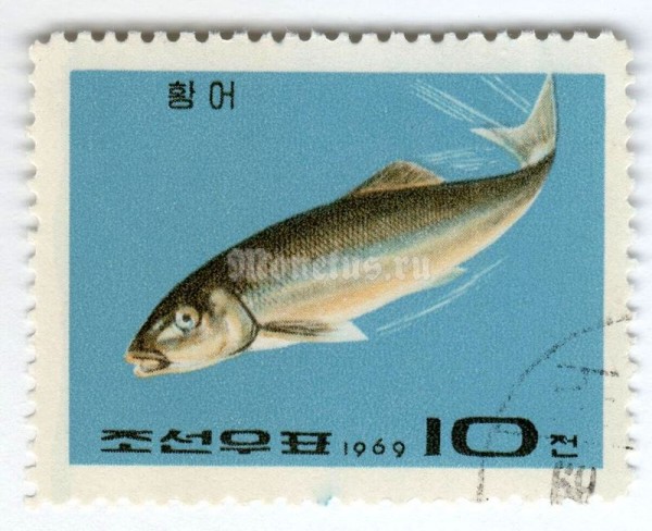 марка Северная Корея 10 чон "Dace fish" 1969 год Гашение