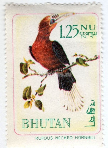 марка Бутан 1.25 нгултрум "Rufous-necked Hornbill (Aceros nepalensis)" 1968 год