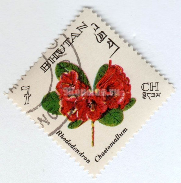 марка Бутан 7 чертум "Rhododendron chaetomallum" 1967 год Гашение